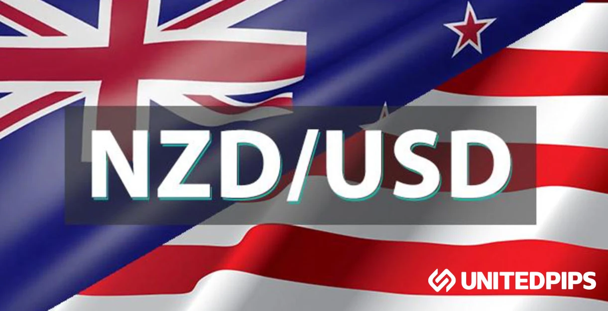 NZDUSD1.webp